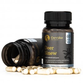 Deer Sinew   Deer Sinew