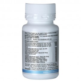 Stress & Energy Support