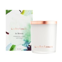 Fragrance Candle Green Verbena Fragrance Candle Green Verbena