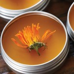Golden Nectar Calendula Balm