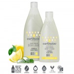 Dish Wash Liquid Lemon Fresh