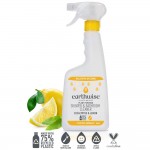 Shower Cleaner - Eucalyptus & Lemon